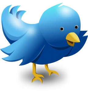 Symbol-of-twitter-vectorcartoon-blue-bird